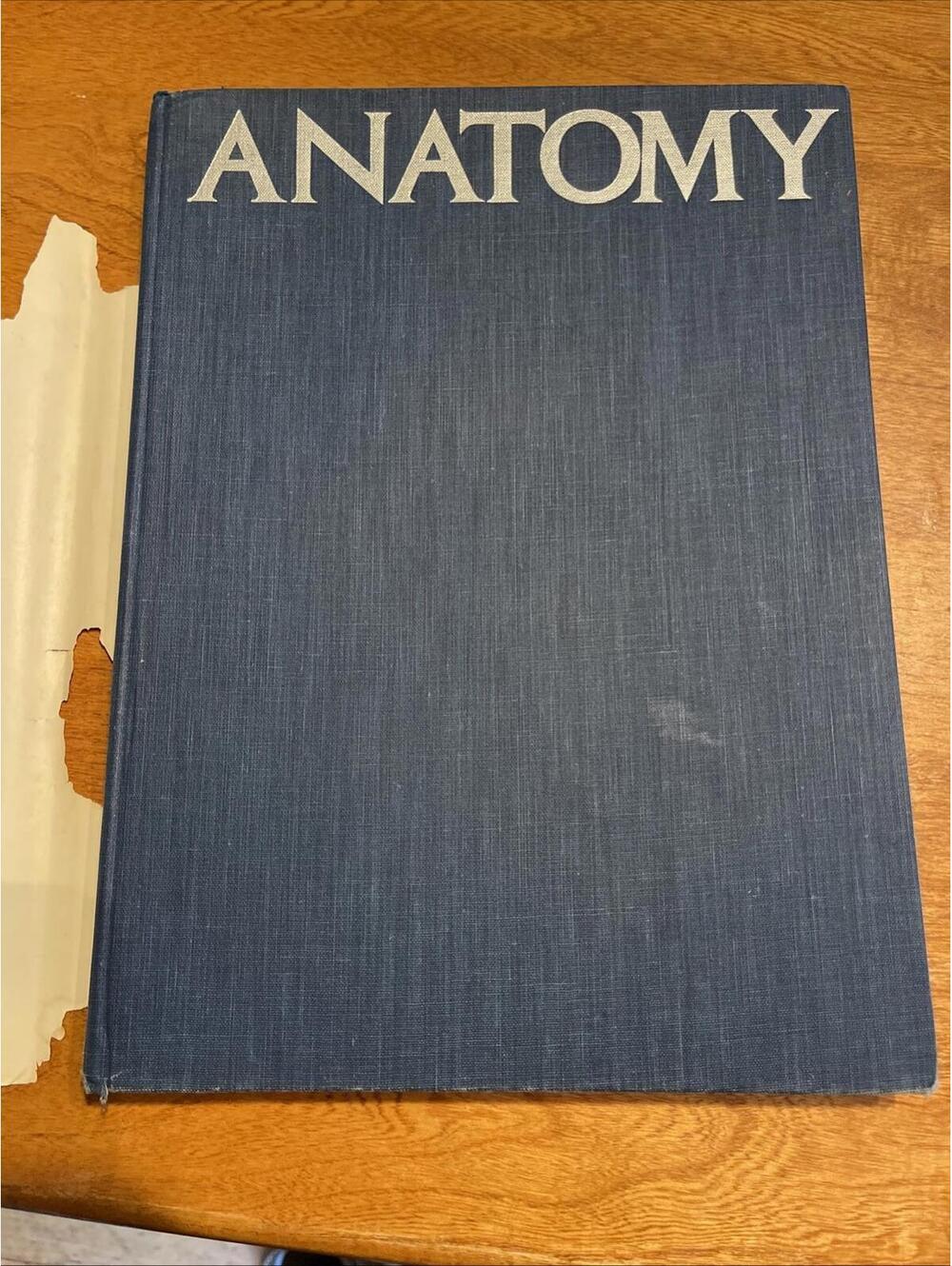 Anatomy: A Complete Guide for Artists - hardcover, Joseph Sheppard, 0823002187